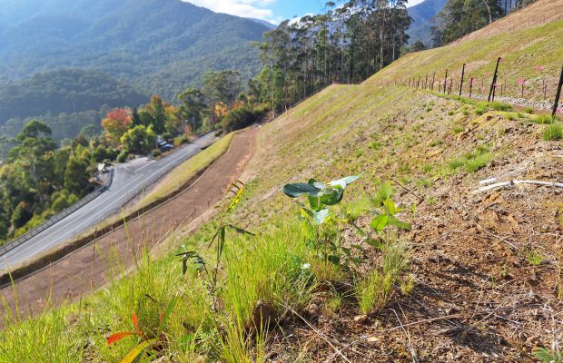 Landscape Function Analysis and its role in the Bogong Slip Rectification Works