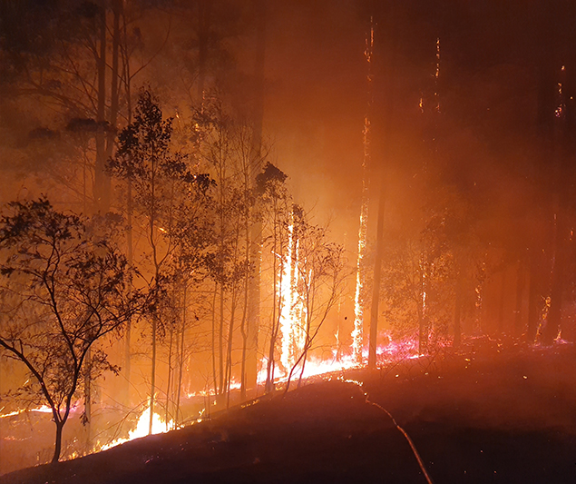Bushfire hazard assessment: why you need an expert