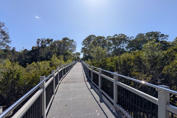Melaleuca Footbridge Replacement at Woolgoolga Creek